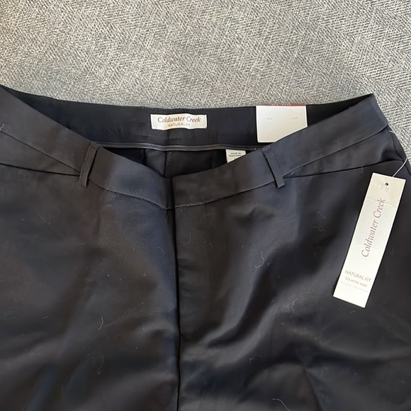 12 Petite Coldwater Creek Ladies Dress Pants - Picture 2 of 4